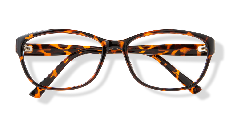 ECV PATRICIA - Tortoise