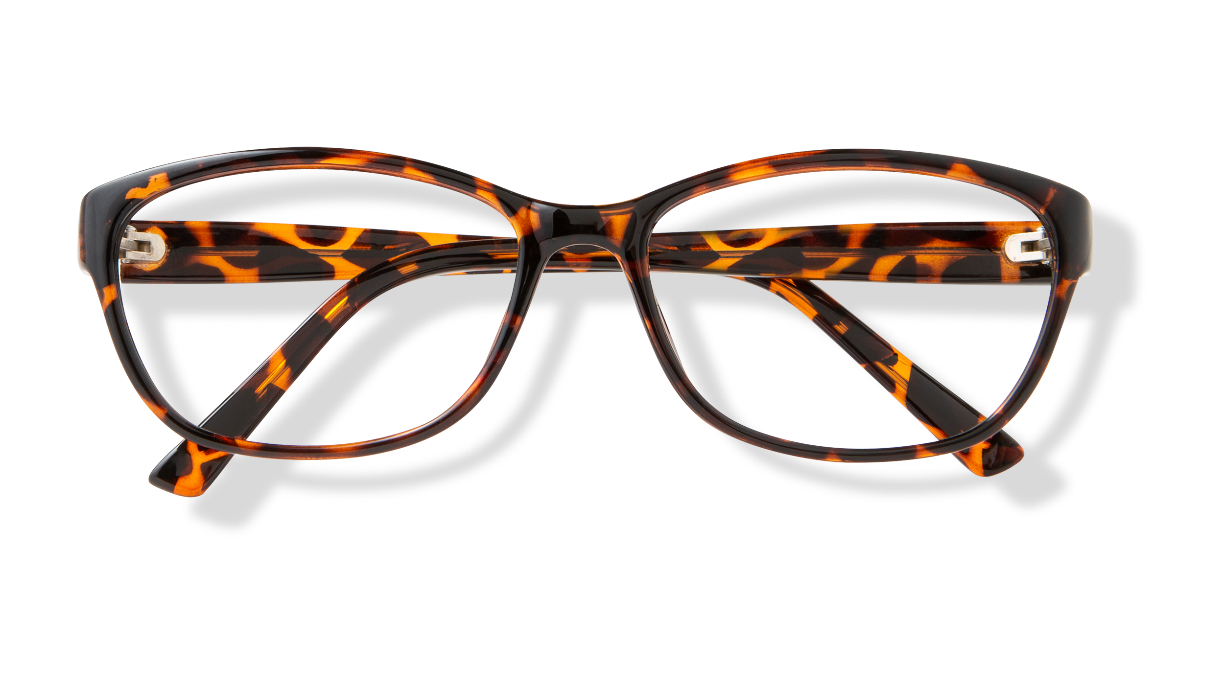 ECV PATRICIA - Tortoise