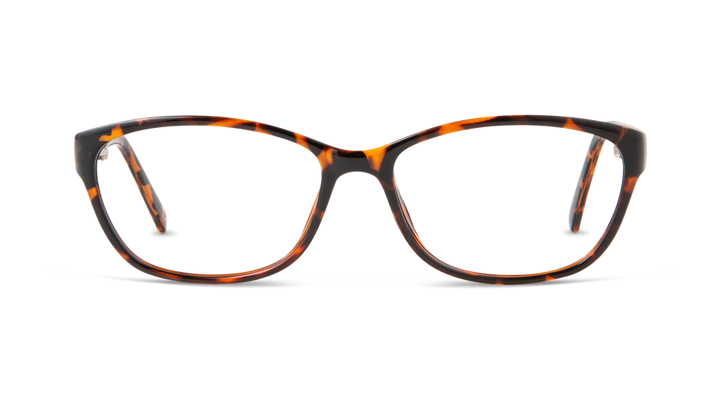 ECV PATRICIA - Tortoise