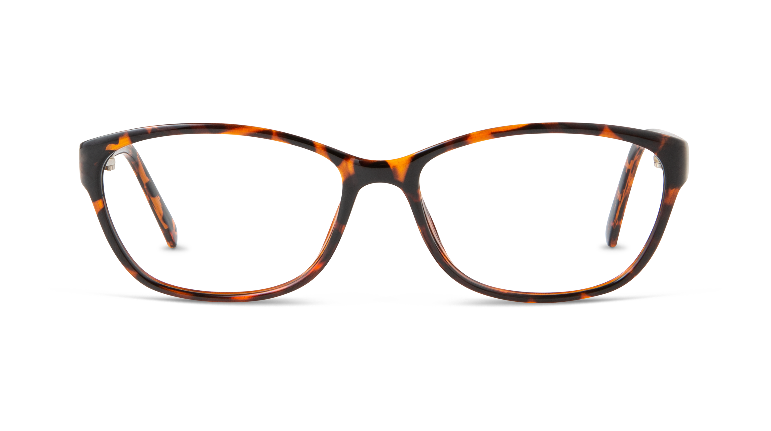 ECV PATRICIA - Tortoise