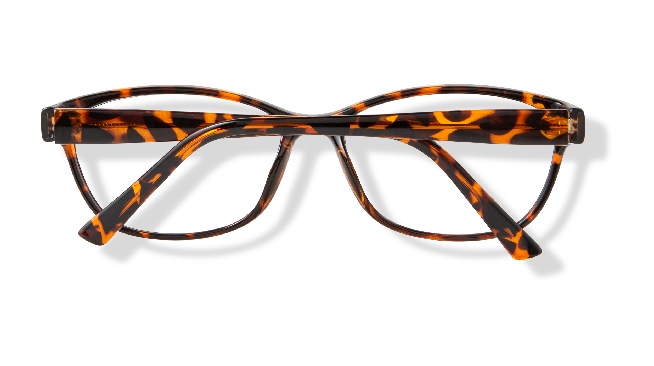 ECV PATRICIA - Tortoise