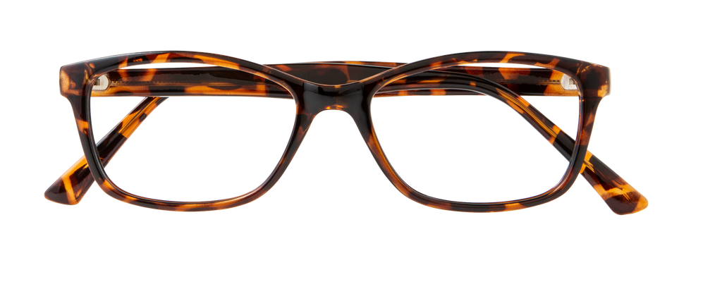 ECV BARBARA - Tortoise