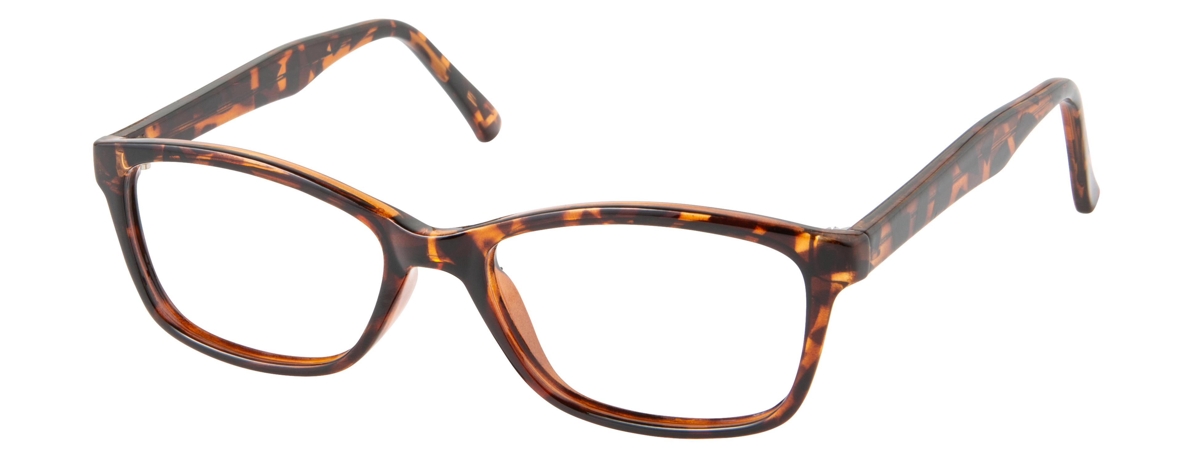 ECV BARBARA - Tortoise