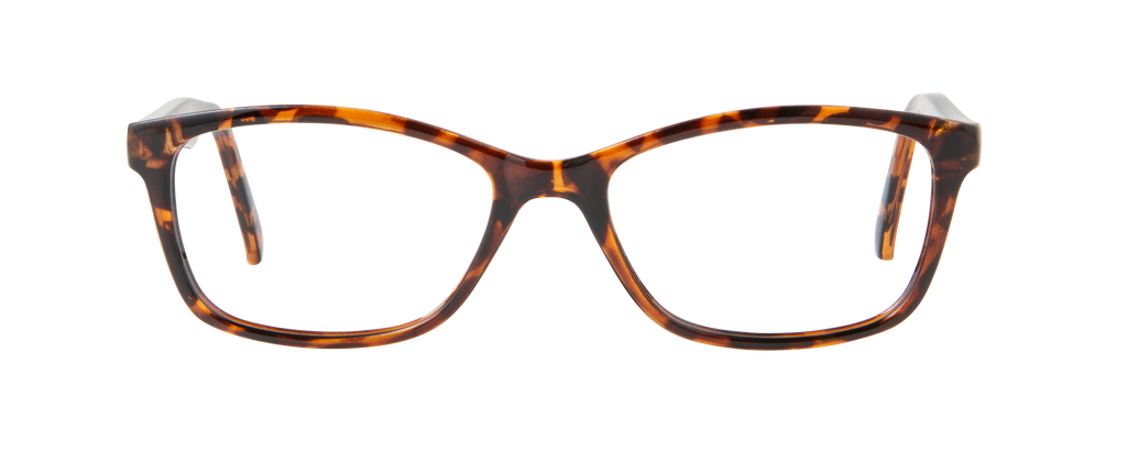 ECV BARBARA - Tortoise