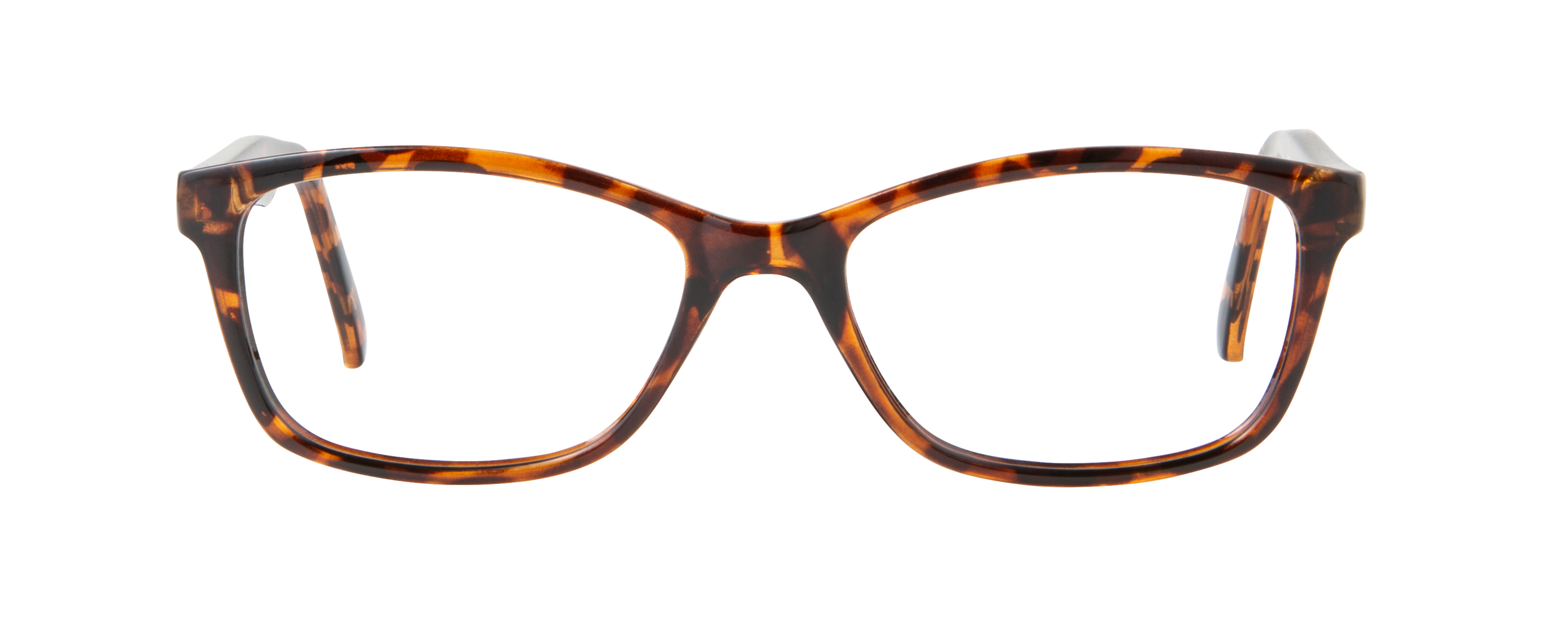 ECV BARBARA - Tortoise