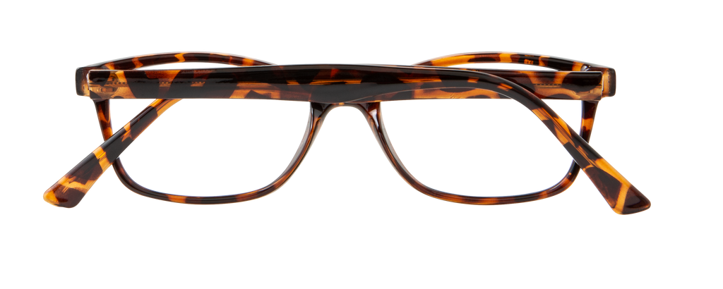 ECV BARBARA - Tortoise