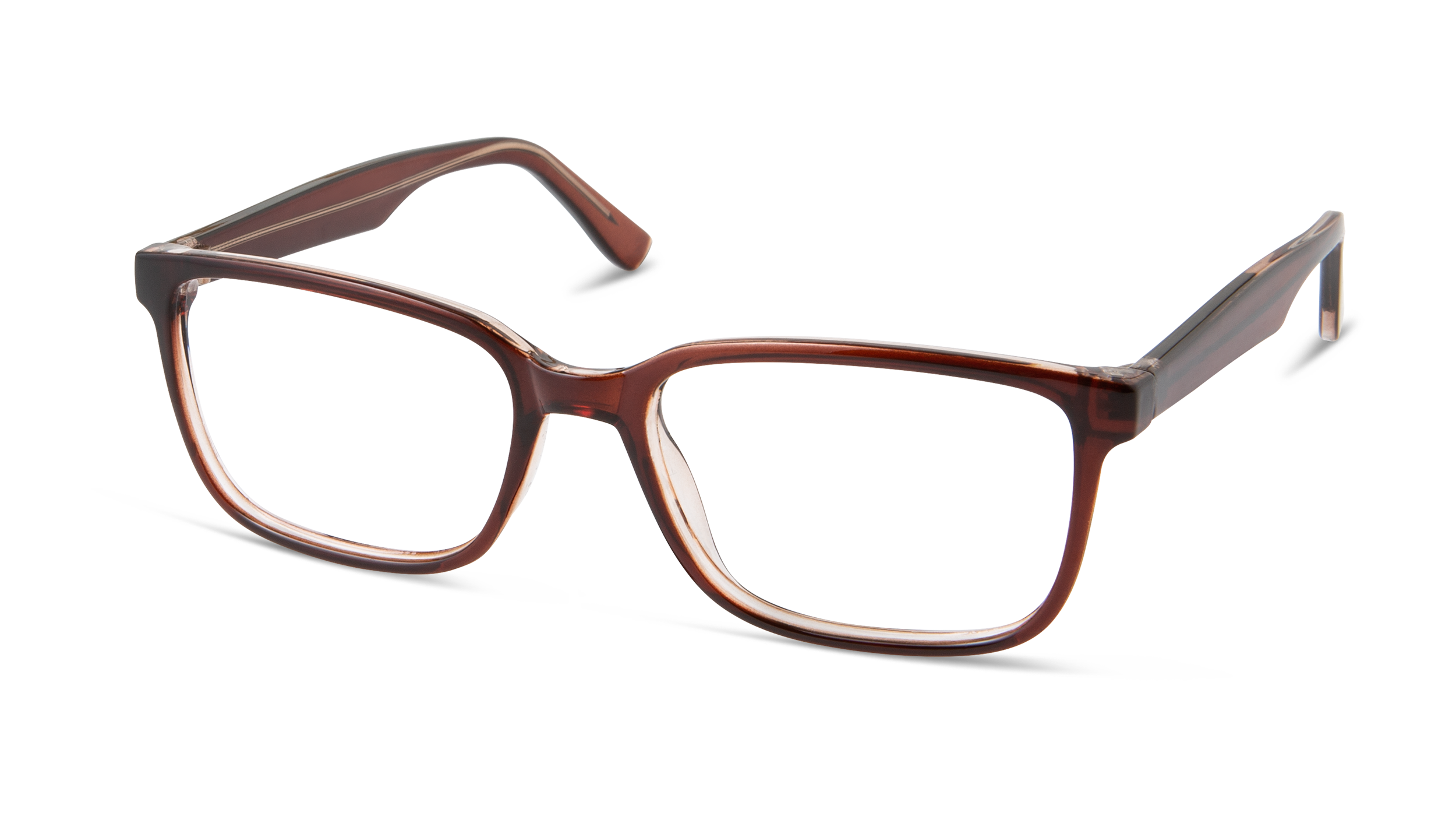 ECV SAMUEL - Brown