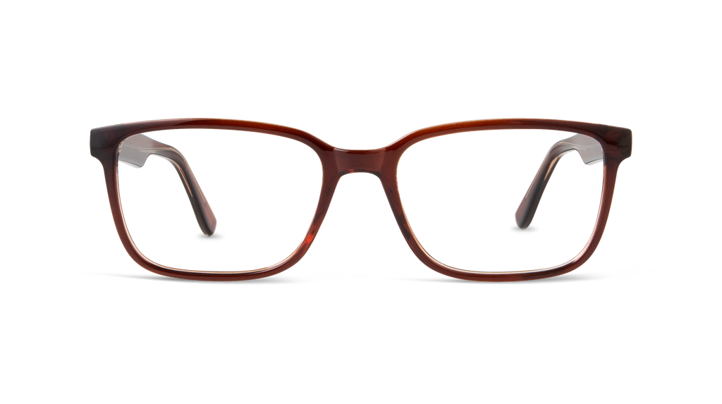 ECV SAMUEL - Brown