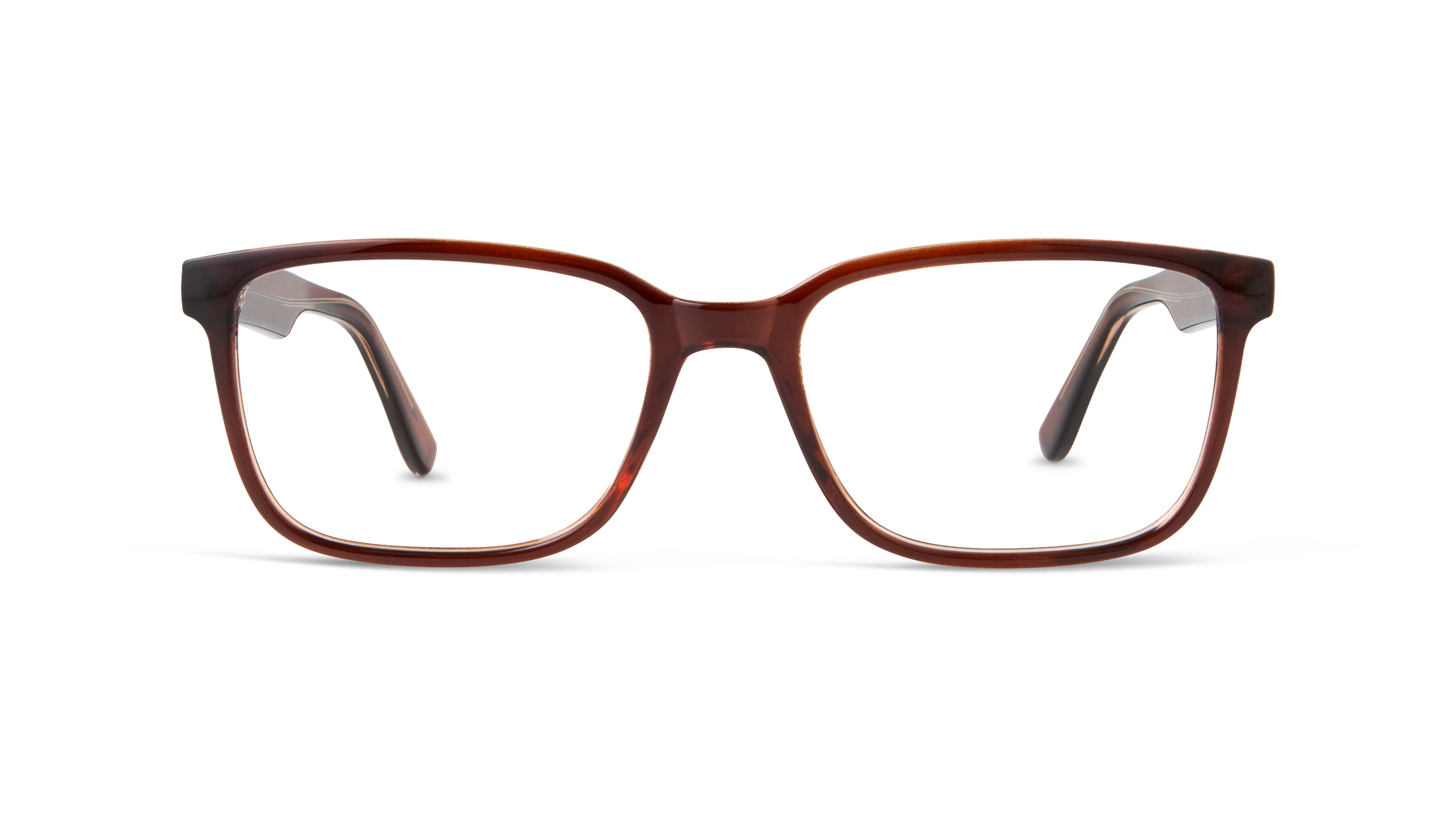 ECV SAMUEL - Brown