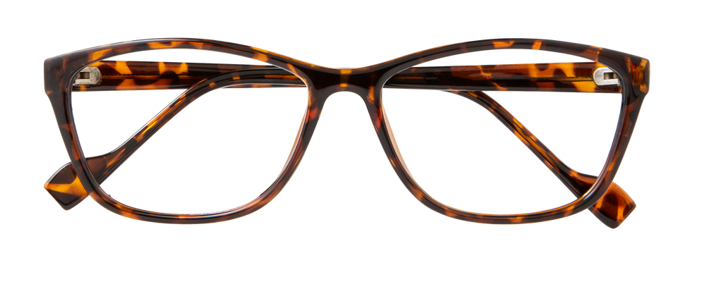 ECV BRENDA - Tortoise