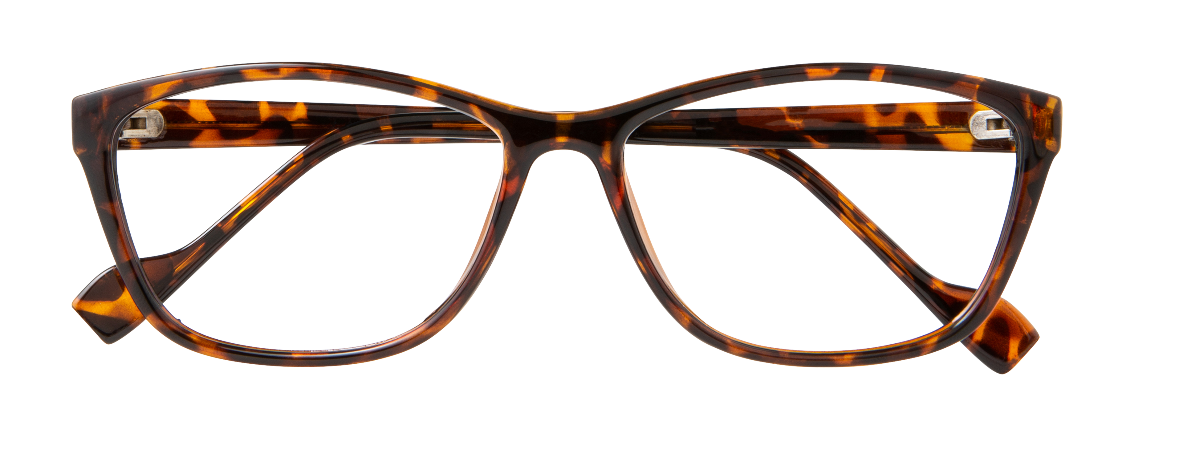 ECV BRENDA - Tortoise