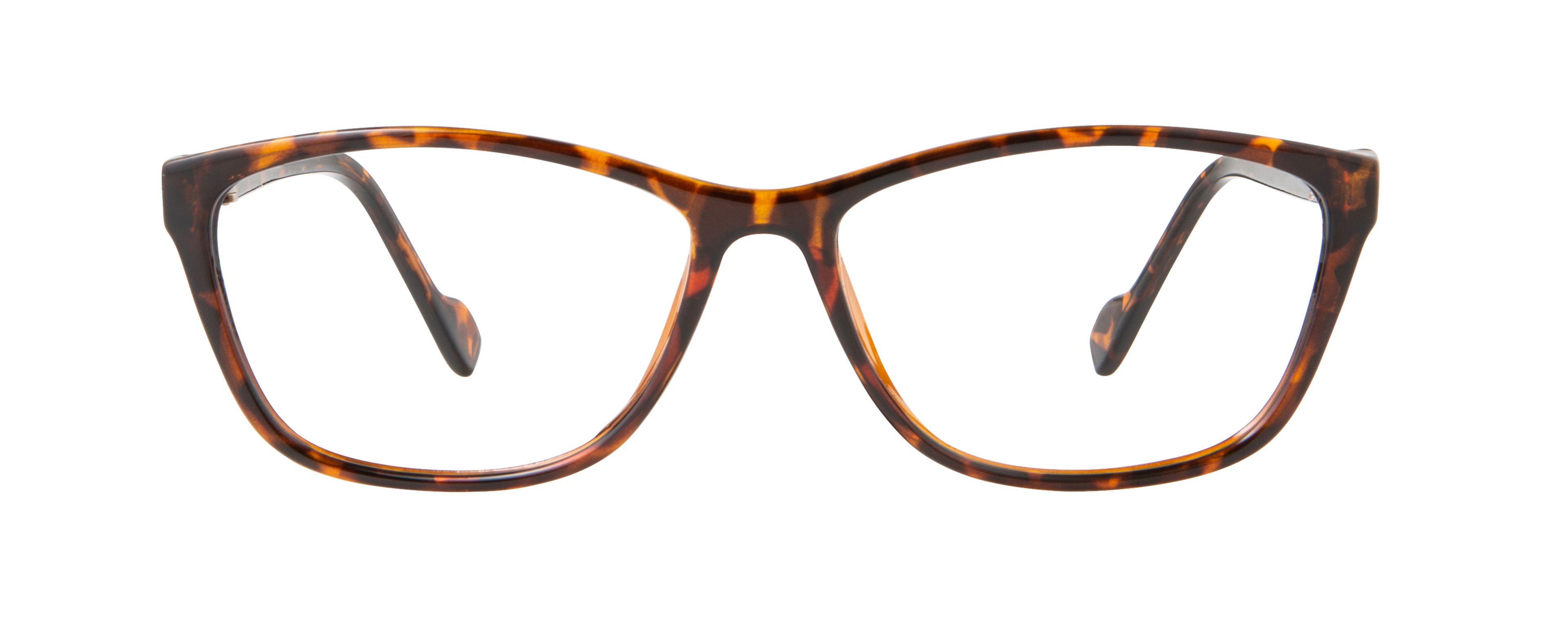 ECV BRENDA - Tortoise