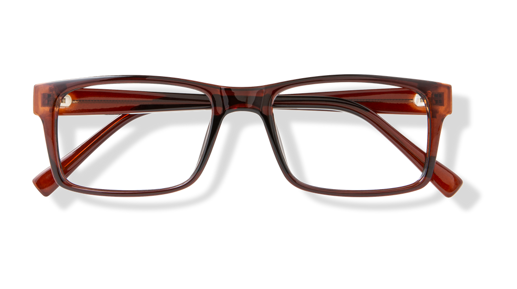 ECV DAMIEN - Brown