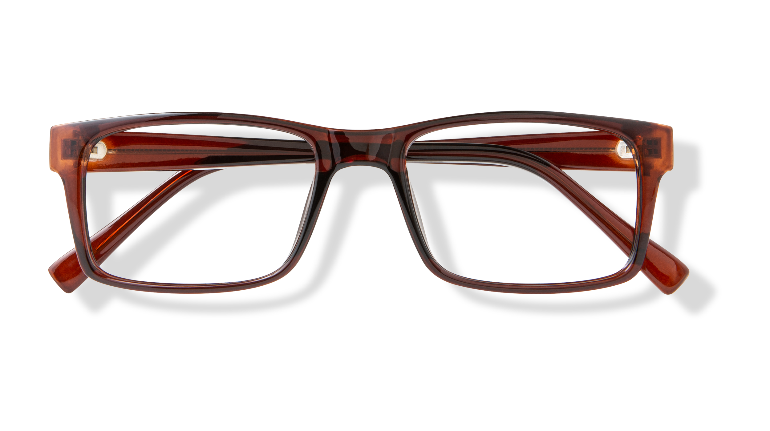 ECV DAMIEN - Brown
