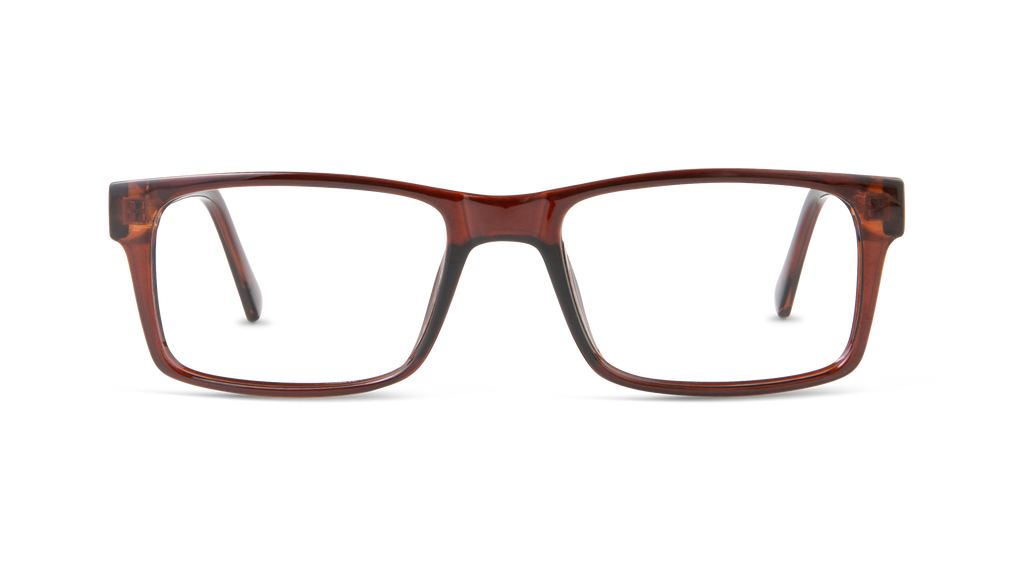 ECV DAMIEN - Brown