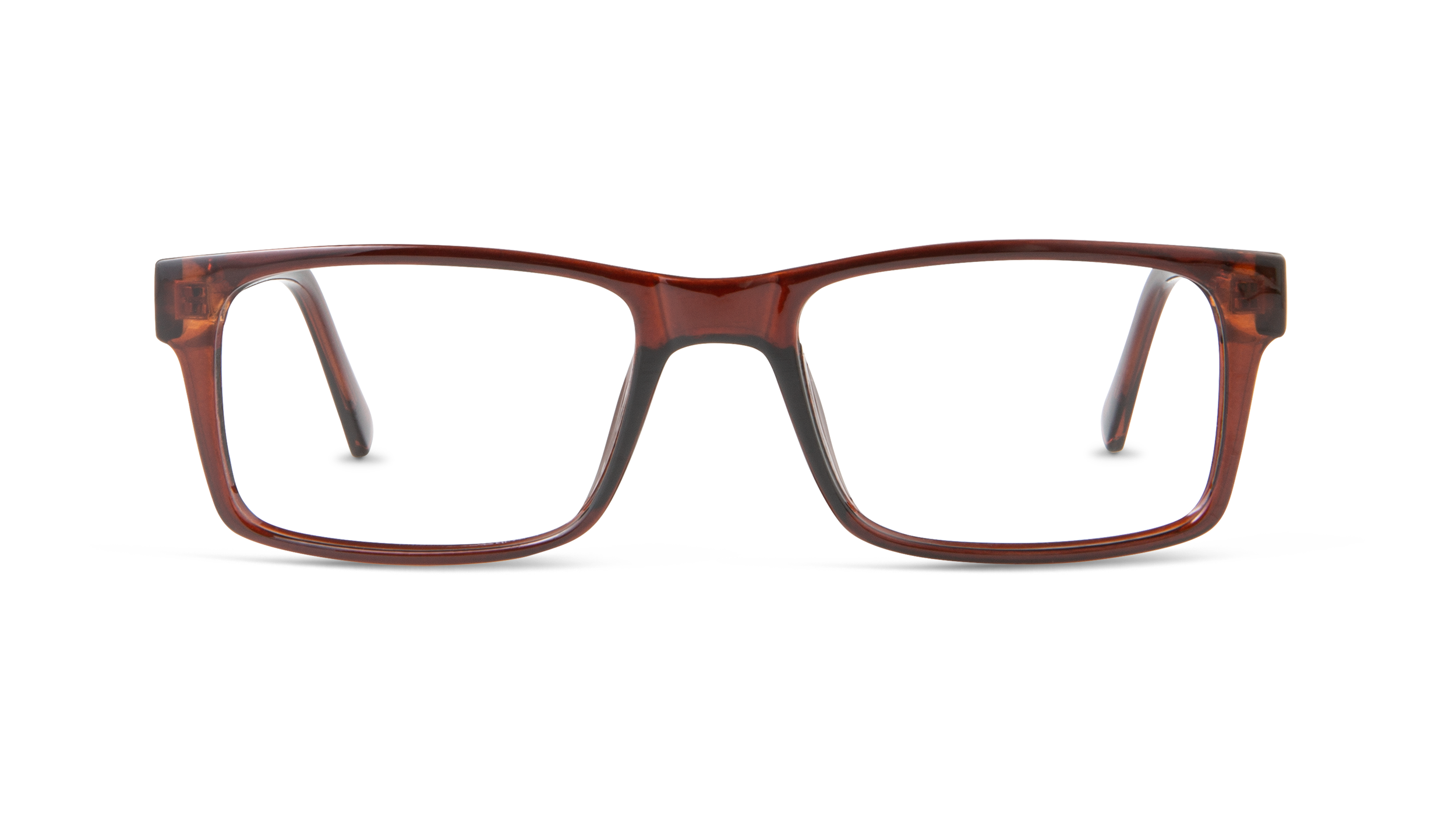 ECV DAMIEN - Brown