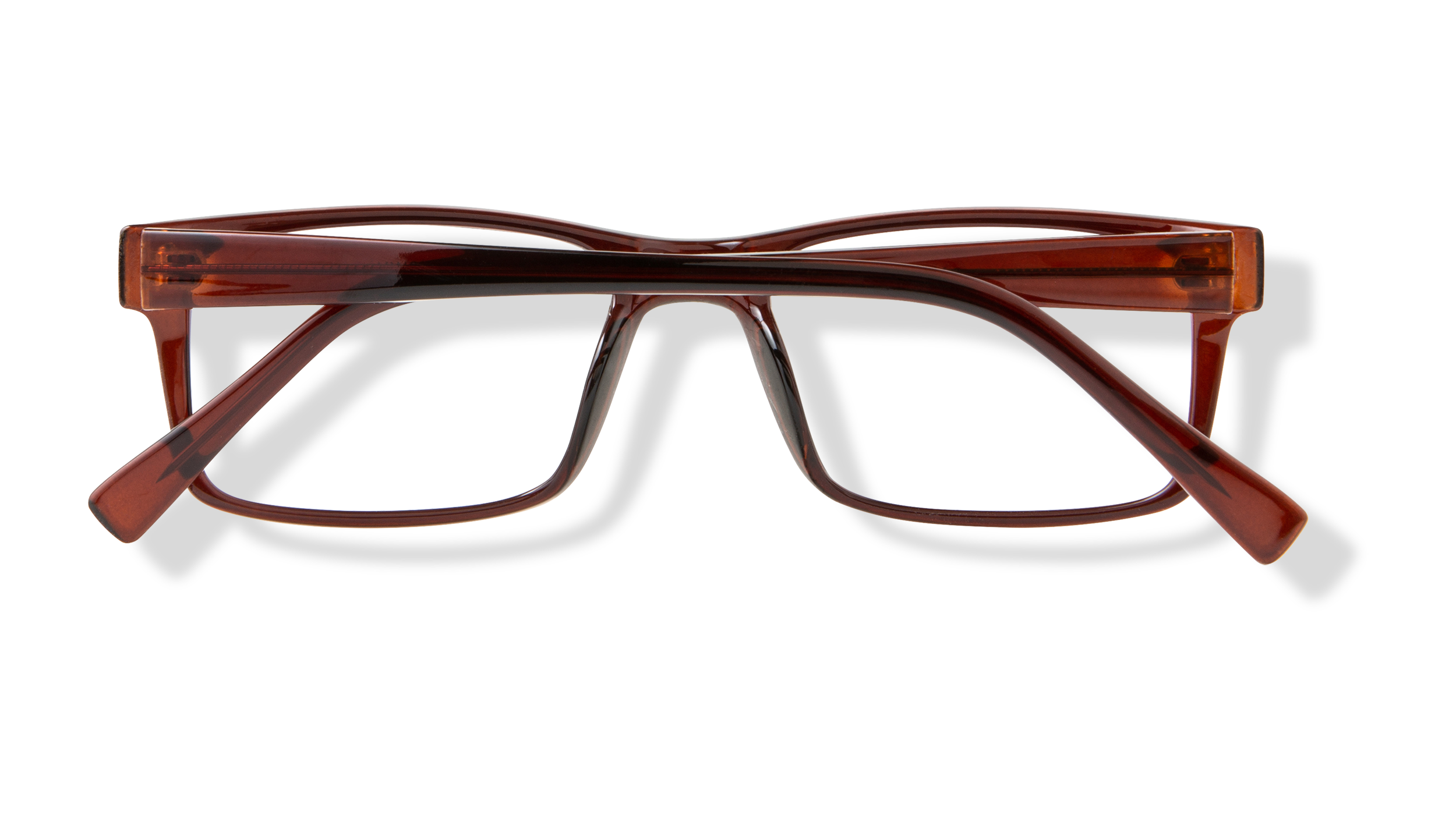 ECV DAMIEN - Brown