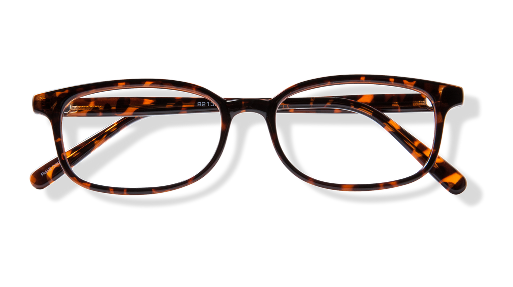 BB 2139 - Tortoise
