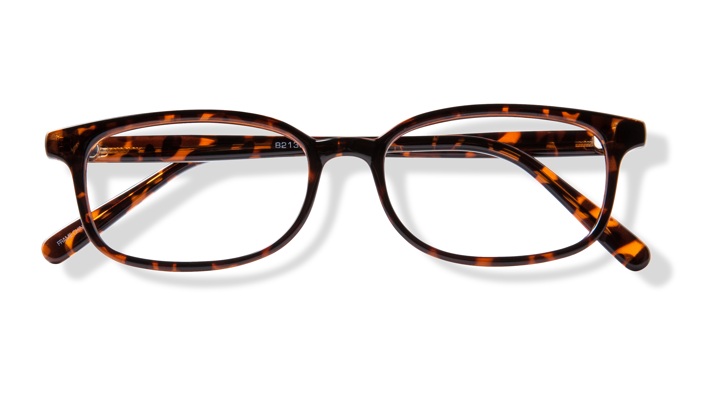 BB 2139 - Tortoise