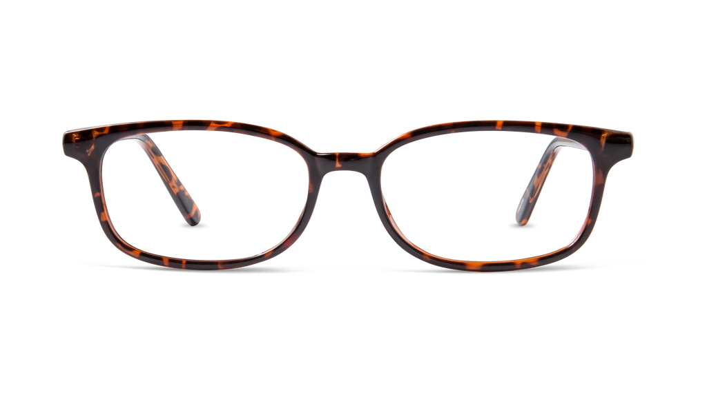 BB 2139 - Tortoise