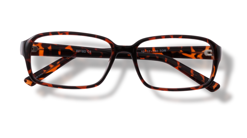 BB 2160 - Tortoise