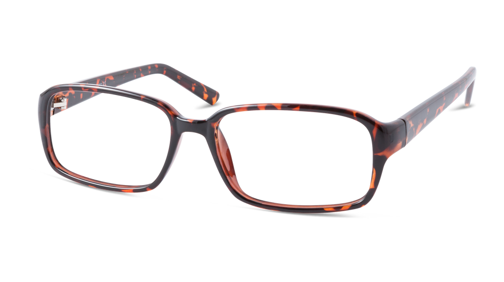 BB 2160 - Tortoise